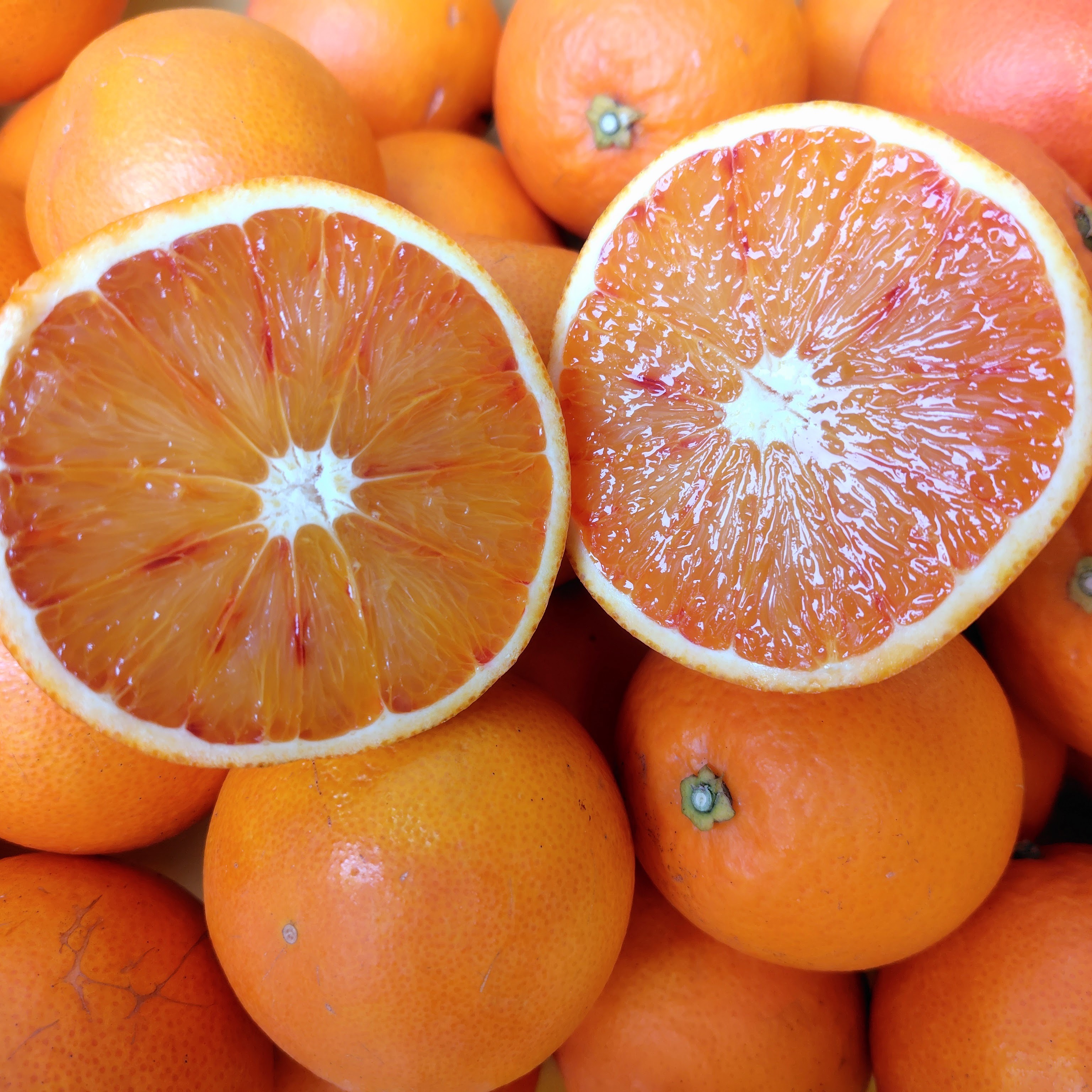 農薬不使用】ブラッドオレンジ（タロッコ種） 5kg | 果物/オレンジ