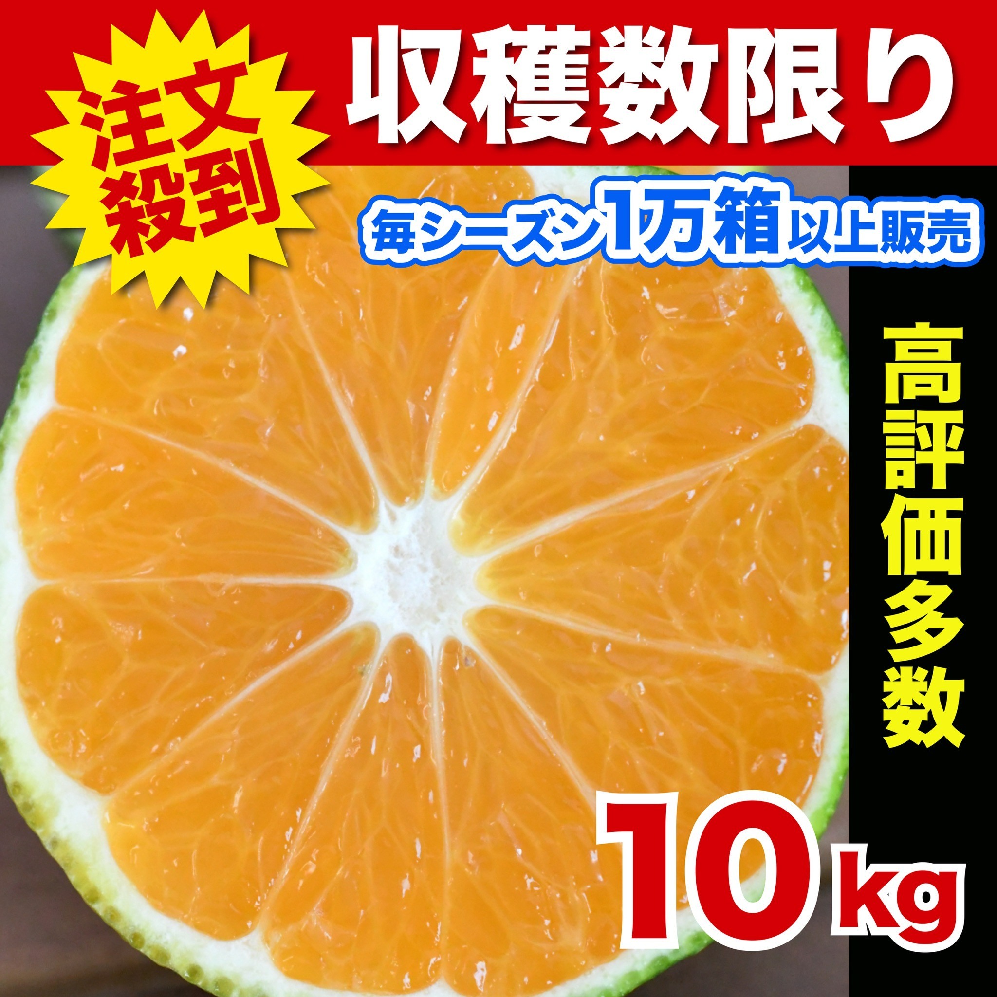 特選！美味しい早生みかん　10kg 収穫数限り」訳あり 極早生みかん！たっぷり10kg 甘酸っぱい初物みかん