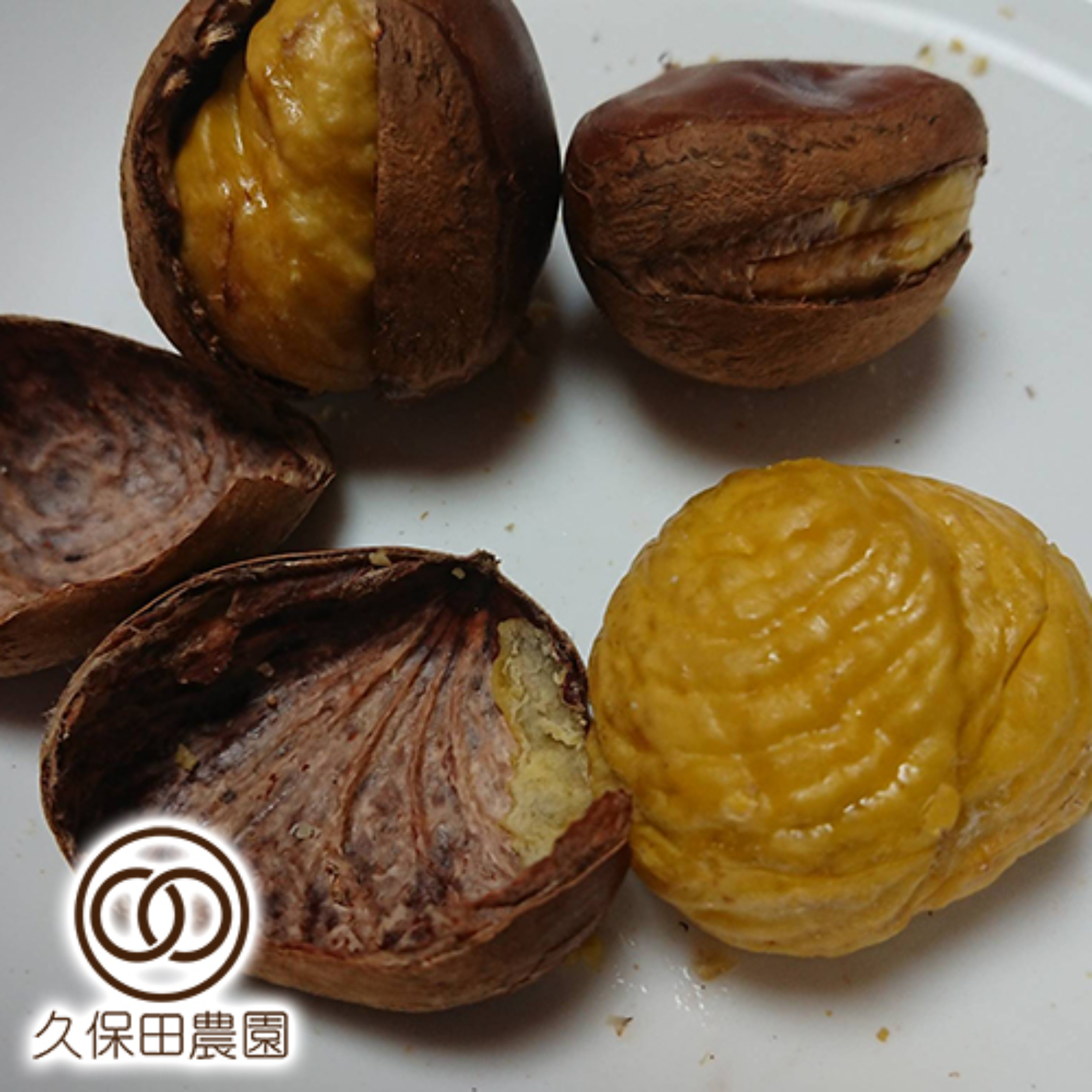 丹波栗特大サイズ　ぽろたん　3kg