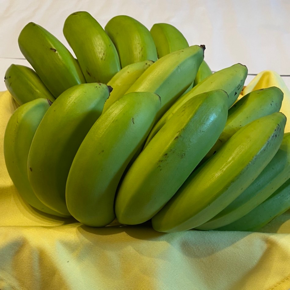 完売【希少】喜界島産島バナナ(小笠原種) 約1.5kg（20本前後）OWL配送