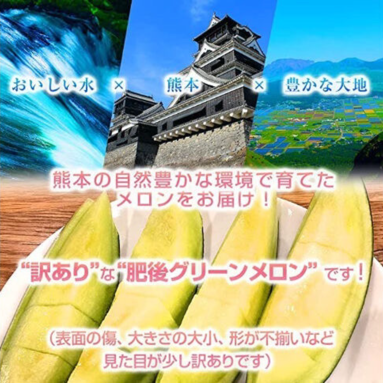 選果落ち 訳あり商品 熊本 産地直送 肥後グリーン メロン 青肉 1玉 約
