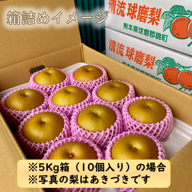 ①【知る人ぞ知る】北信州須坂の幸水　箱込み梨5.0kg前後 ①【知る人ぞ知る】北信州須坂の幸水 箱込み梨5.0kg前後 ラスト！【幸