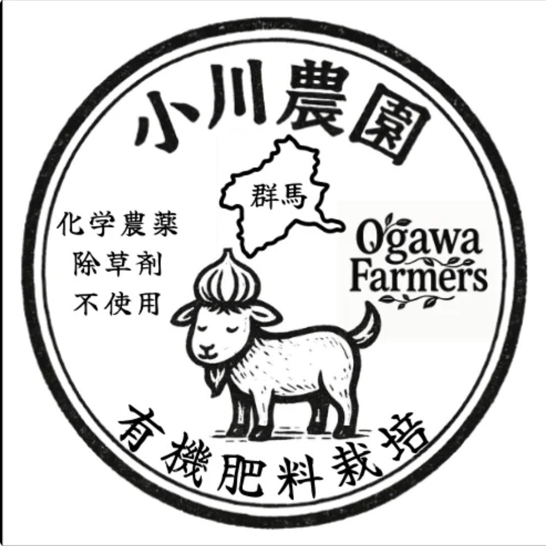群馬県産 平戸にんにく3kg ｜ 野菜/にんにく 産直アウル 農家・漁師
