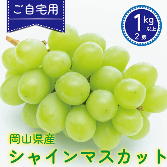 ご自宅用】シャインマスカット 1kg | 果物/ぶどう 産直アウル 農家から