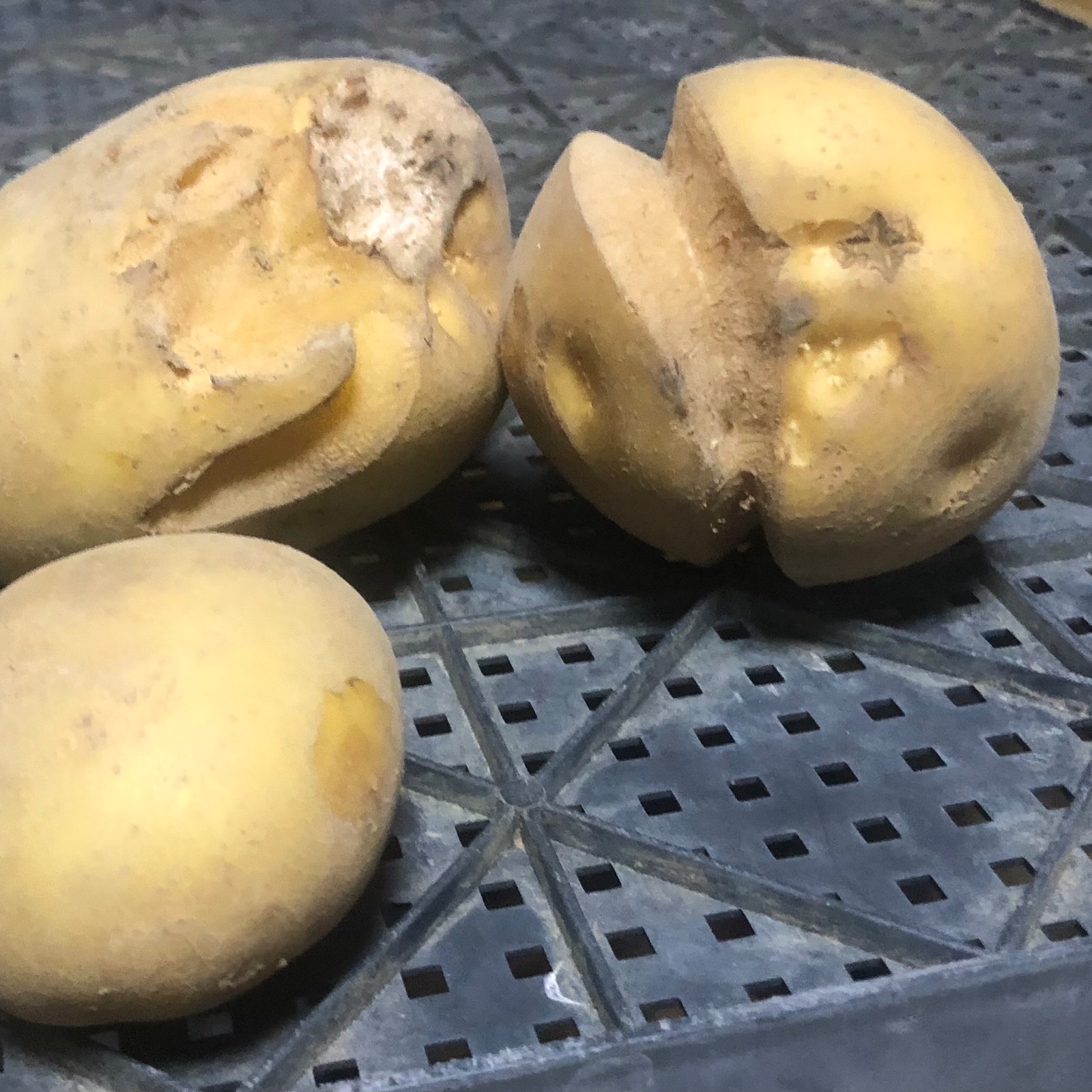 規格外 ジャガイモ🥔 | 野菜/じゃがいも 産直アウル 農家から直接野菜