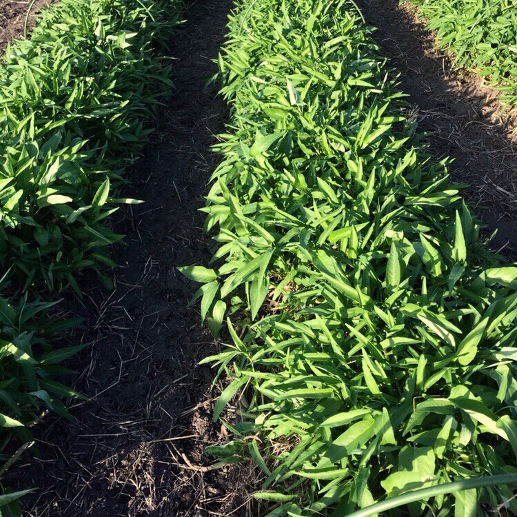 c1a7bd214889aba1764c3ffea73ef3