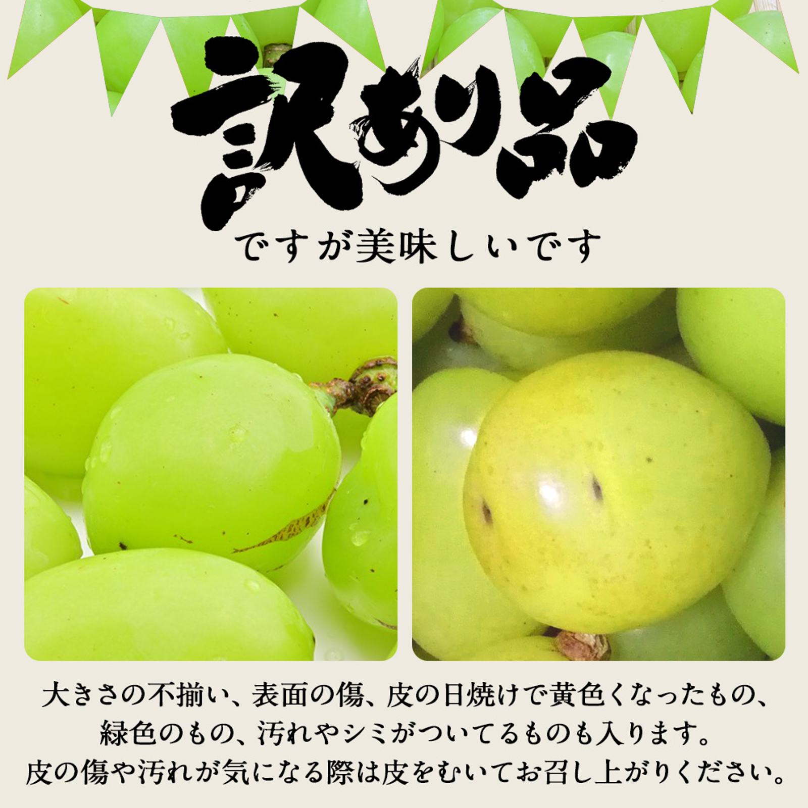食品 ふぞろいおいり100g✖️20袋
