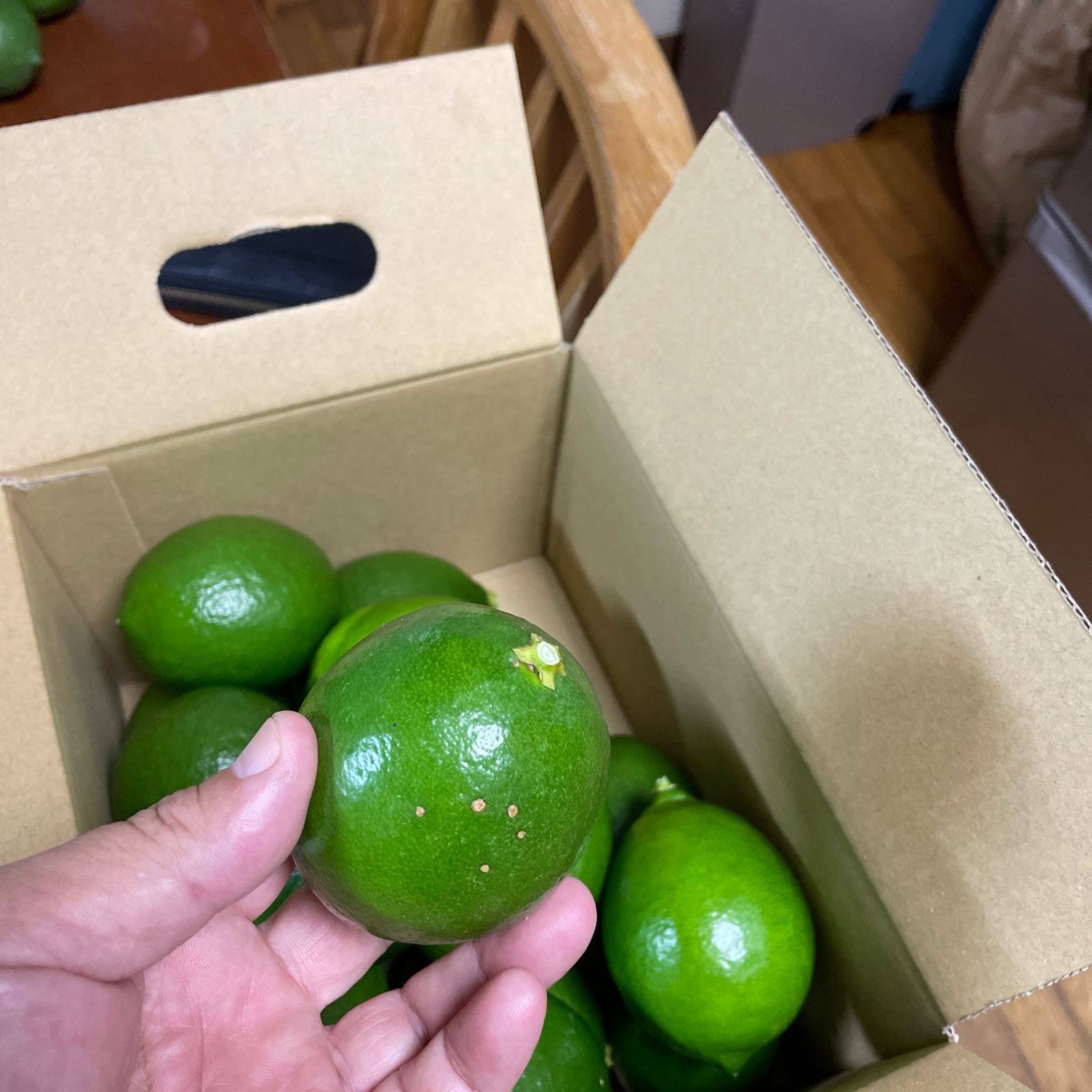 20日間限定！爽やか国産グリーンレモン（マイヤー種） | 果物/香酸