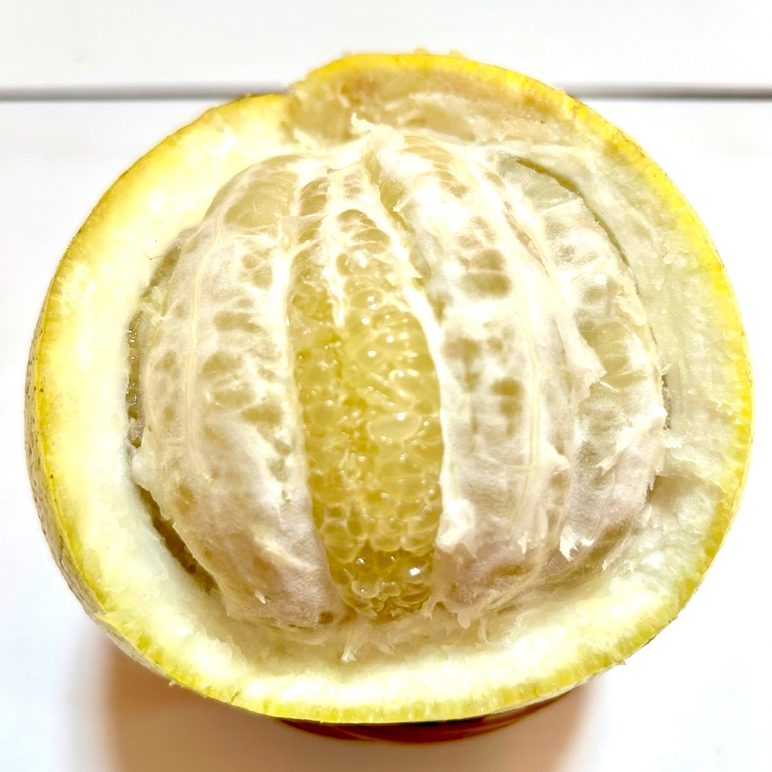 お得🉐サイズB】パール柑《405〜425g》※無農薬栽培【地元:上天草産
