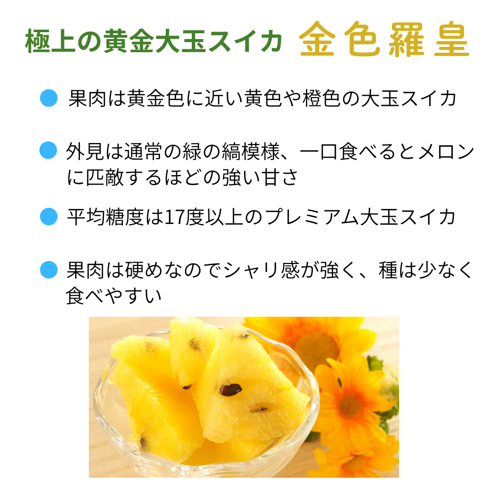 旬祭限定】《予約》大玉すいか羅王食べ比べセットL(金色＋ザ
