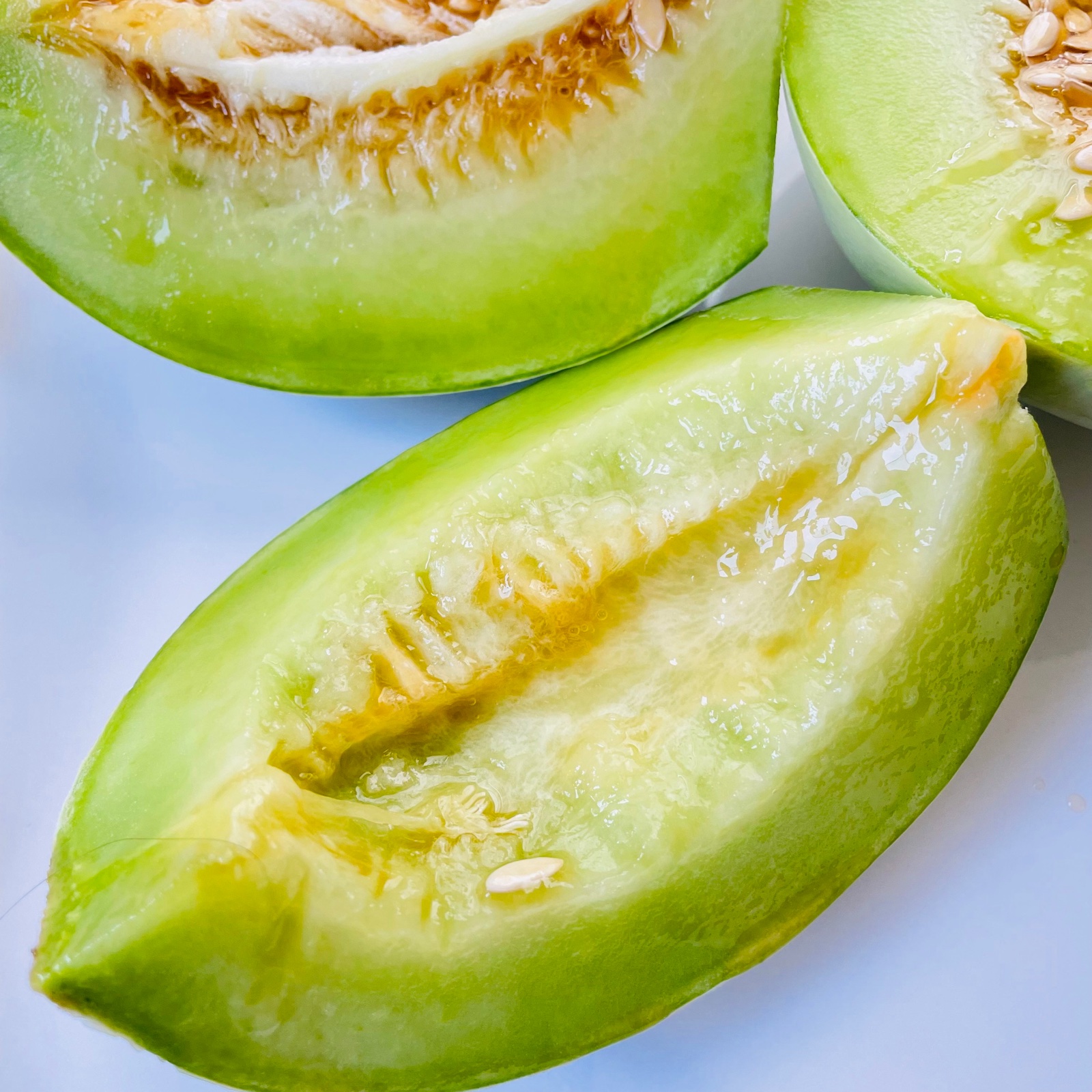 幻のクールボジャメロン | 果物/メロン 産直アウル 農家から直接野菜