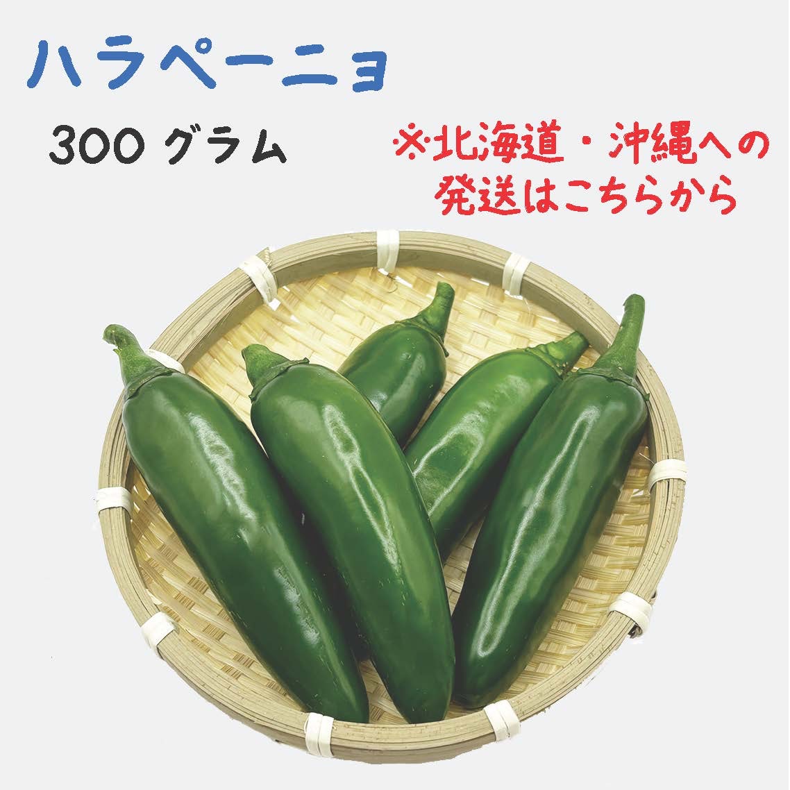 北海道・沖縄専用】ハラペーニョ 約300g 宮崎産 フレッシュ 収穫後農園