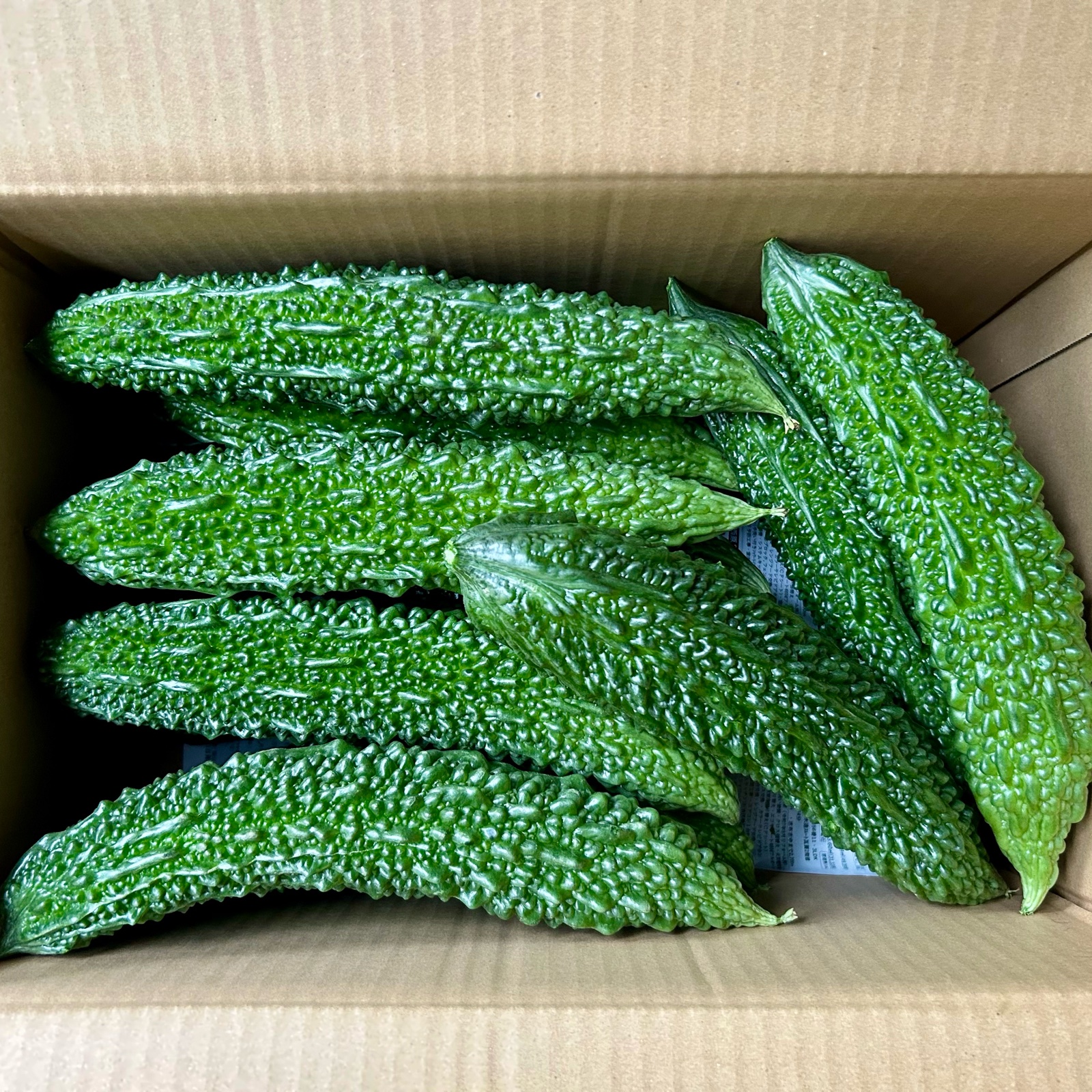 鹿児島産】甘塩ゴーヤ箱込み5キロ^_^ ｜ 野菜/ゴーヤ 産直アウル 農家