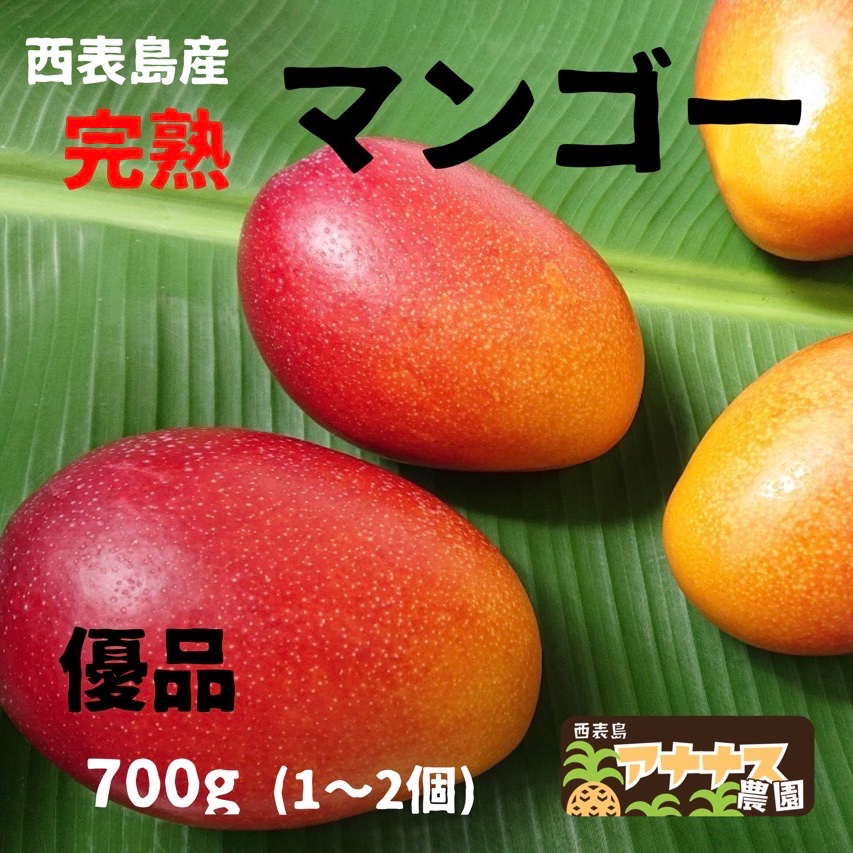 完熟マンゴー 優品700g(1〜2個) ｜ 果物/マンゴー 産直アウル 農家