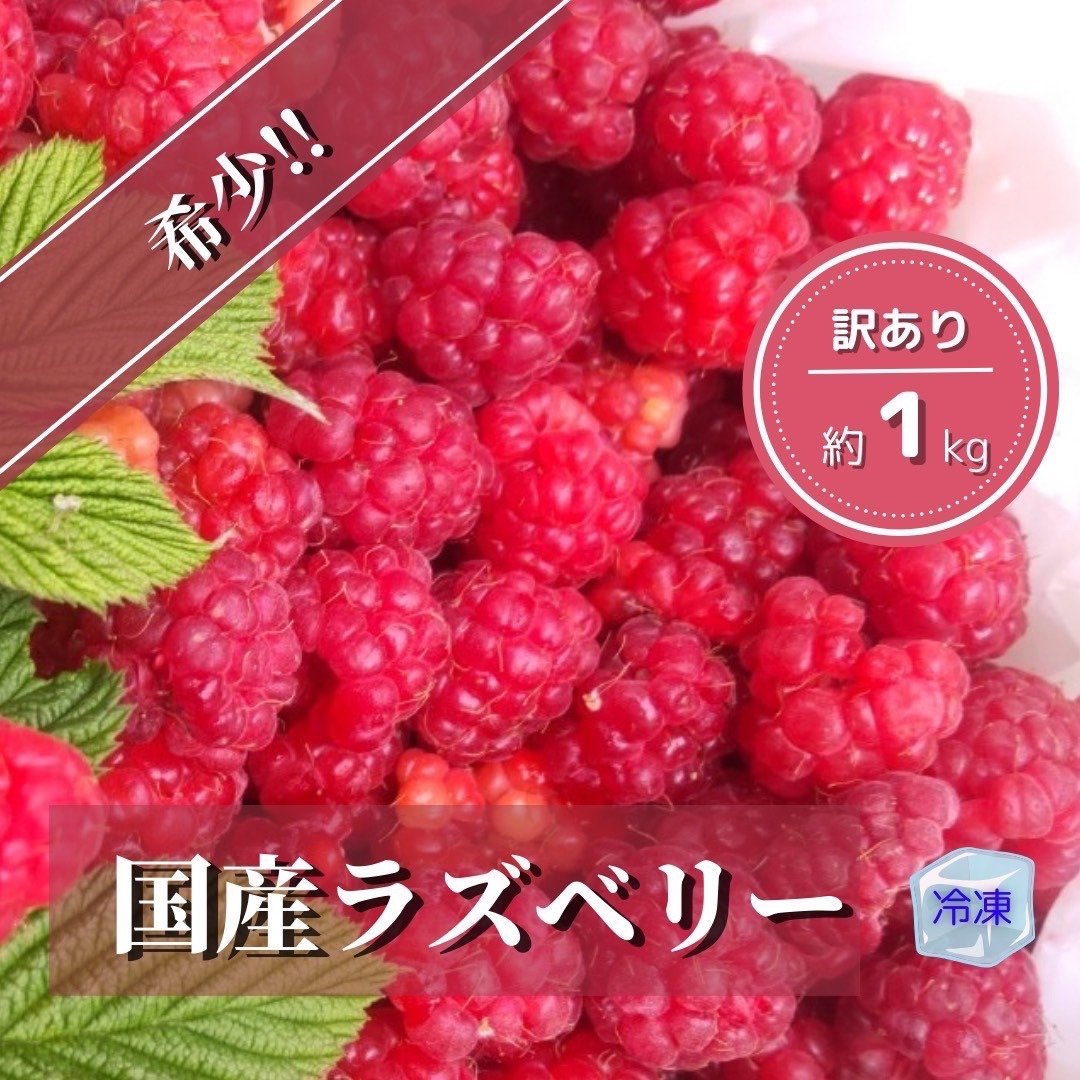 無農薬輝くラズベリー　１．２キロ　クール便 ラズベリー（果物＞ベリー類）の産地直送商品一覧（通販・お