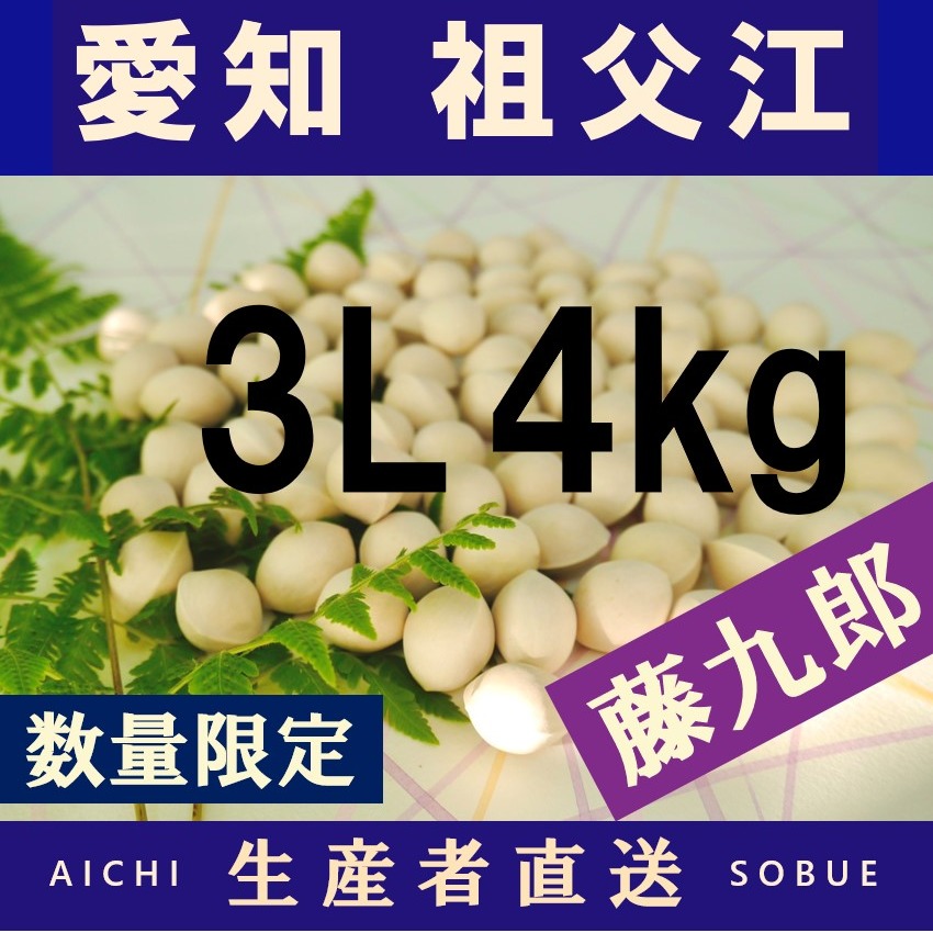 2026年新物 久寿 銀杏 ぎんなん 祖父江産 3L 6kg 2026年新物！ 愛知県 祖父江産 藤九郎 銀杏 ぎんなん 3L 4kg ☆秋の