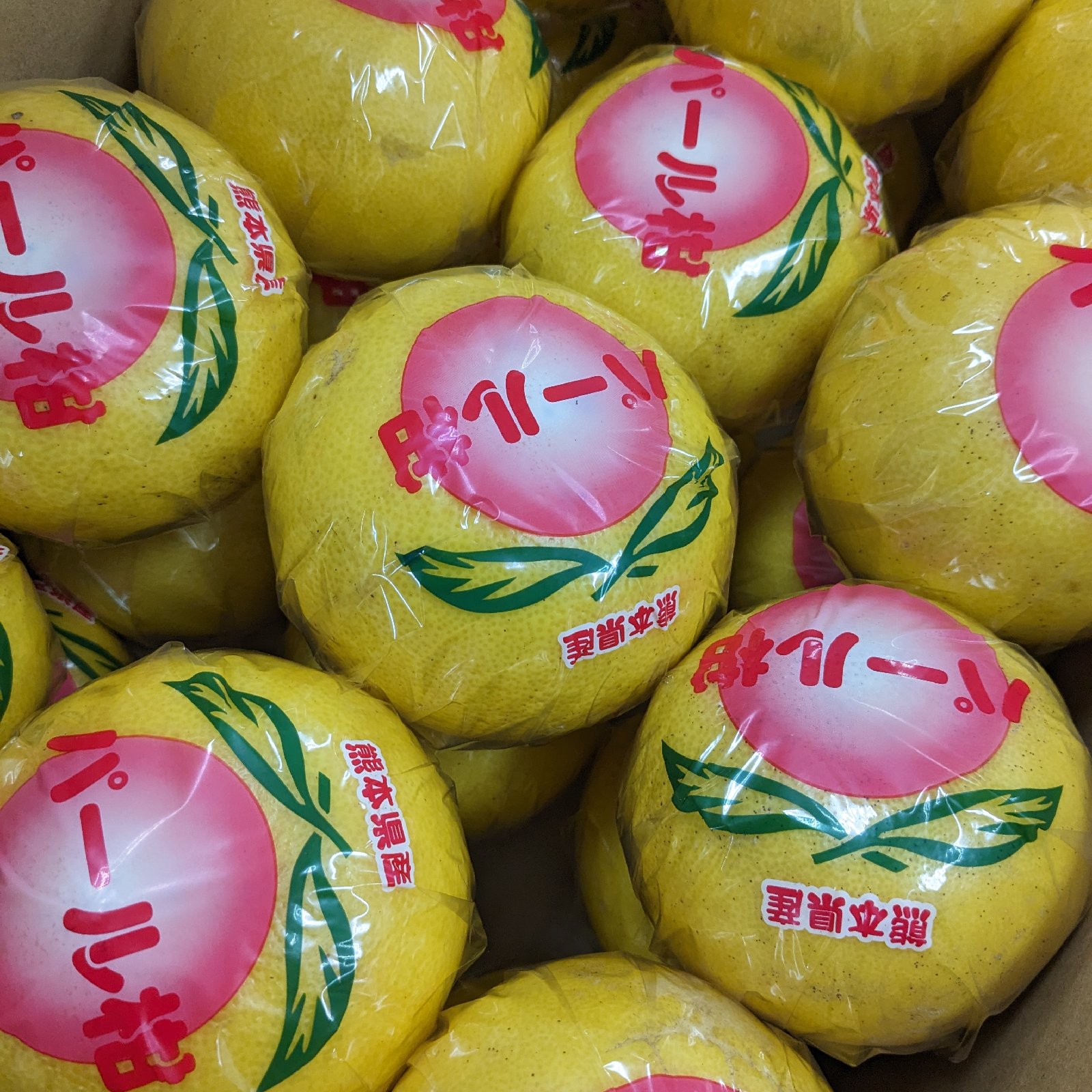パール柑 文旦 1箱 18玉から24玉入 ｜ 果物/オレンジ・その他みかん