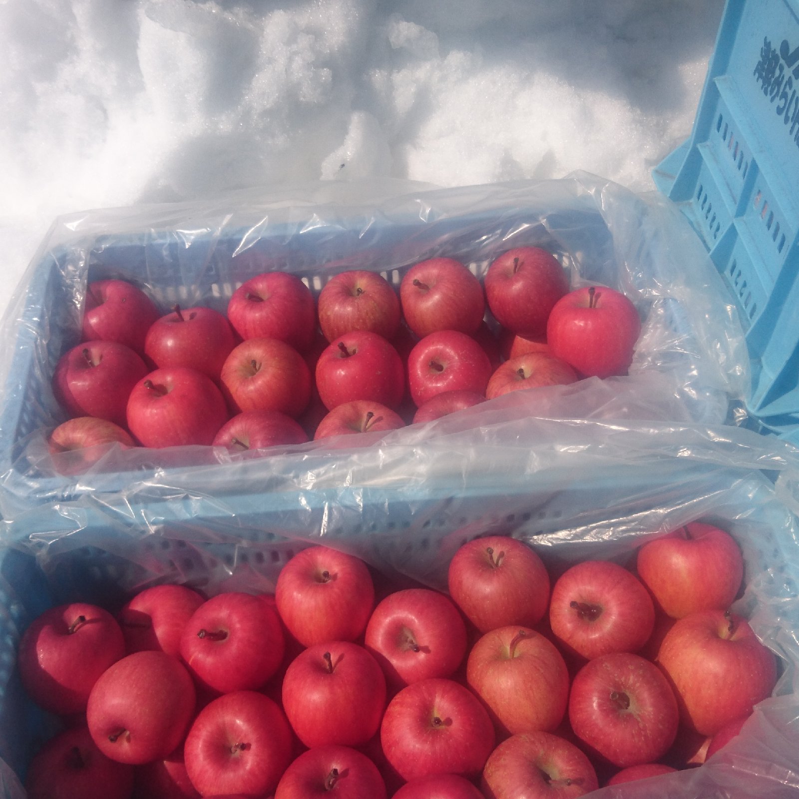 産地詳細 | 青森県黒石市 | 産直アウル 農家から直接野菜などの食材を