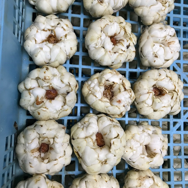 c42751f814c49548a62b7db394656e