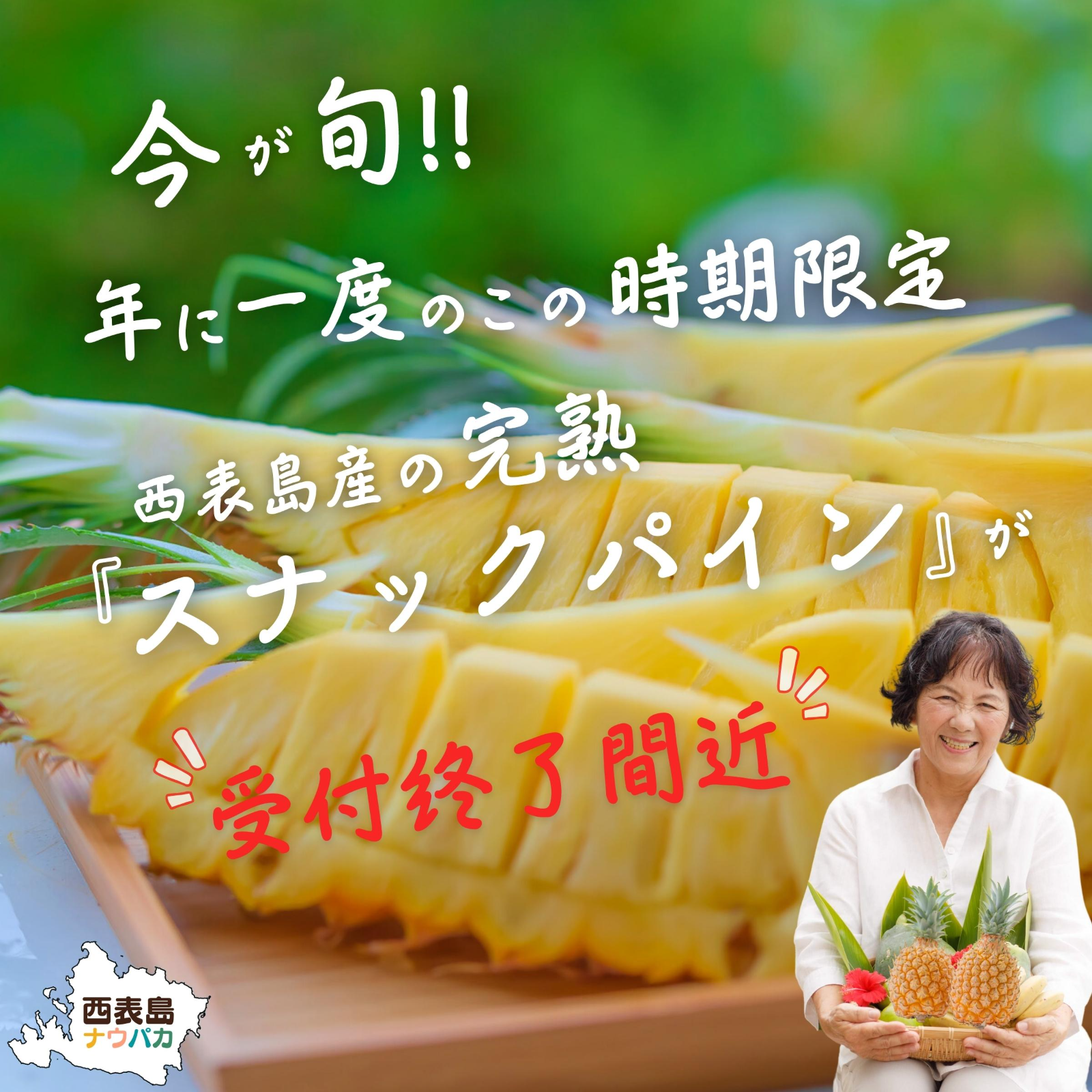 ✨今が旬!!✨西表島ナウパカの『完熟スナックパイン2Kg』 ｜ 果物