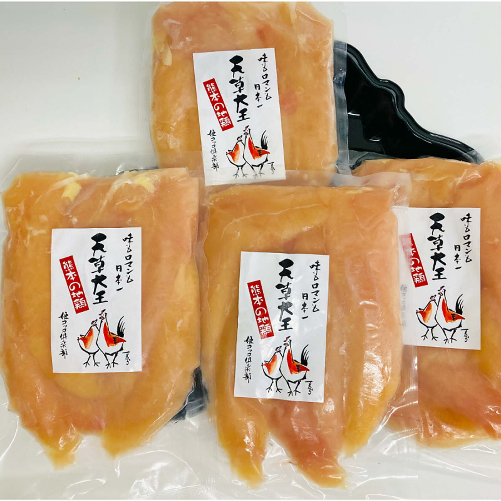 食物本草本大成　全12巻