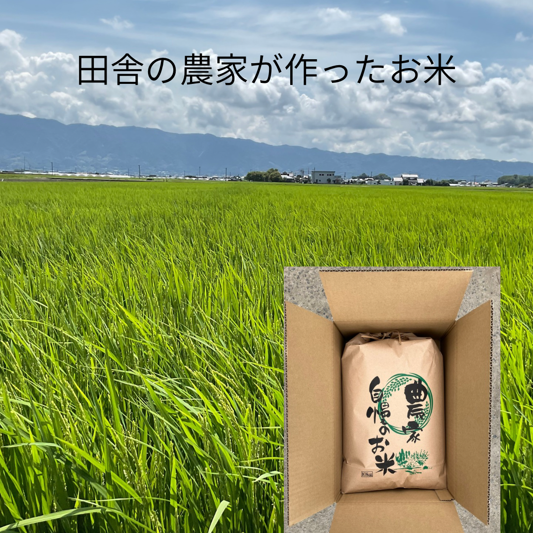 令和8年産お米 夢つくし玄米30kg特別栽培農法 ｜ 米・穀物/玄米 産直