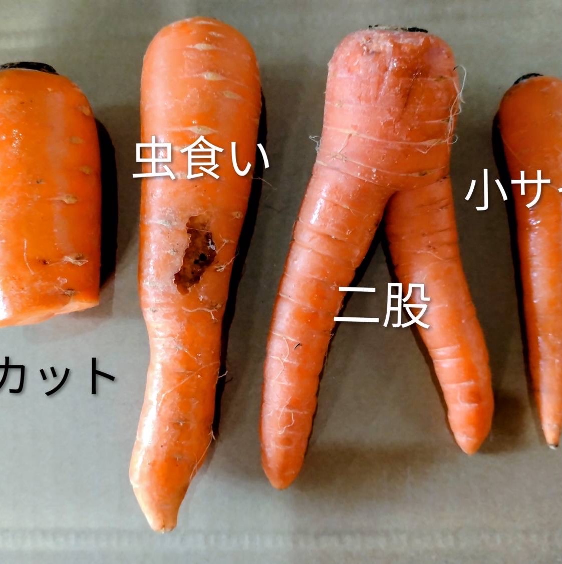 にんじん MOA自然農法 訳あり 夏にんじん10kg(箱の重量含む) ｜ 野菜/人参 産直