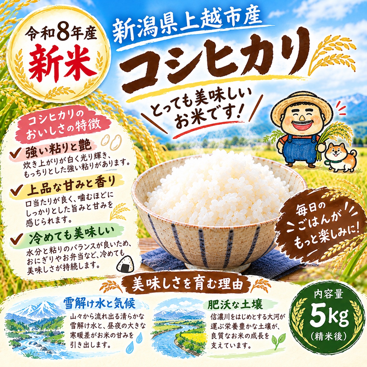 令和8年産 新米コシヒカリ ｜ 米・穀物/米/精米 産直アウル 農家