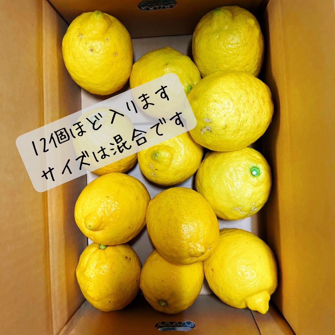 和歌山産家庭用Ｂ品レモン約15キロ前後 土曜日発送予定です 楽天市場】和歌山 レモンの通販