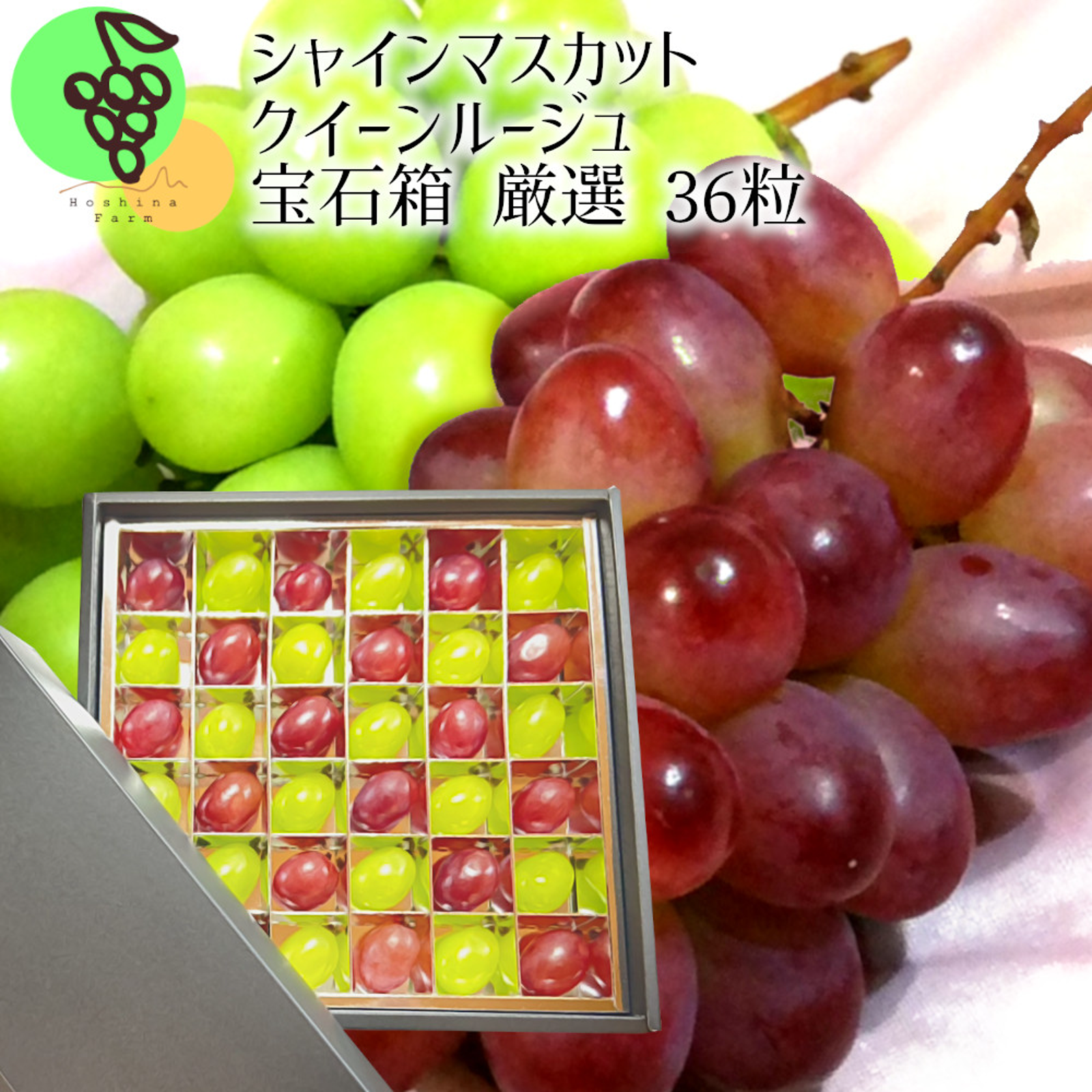 信州シャインマスカット&クイーンルージュ®︎ （3キロ箱） ルージュ＆シャイン宝石箱36粒 【信州長野県産】※2024年先行予約※ 10月