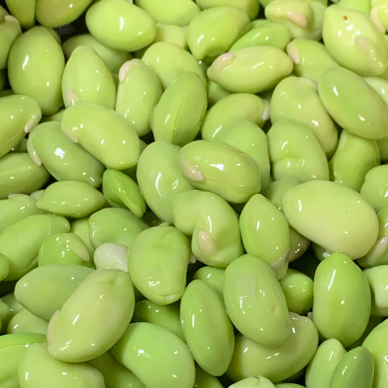 鮮度抜群！枝付き丹波黒枝豆3kg | 野菜/豆類 産直アウル 農家から直接