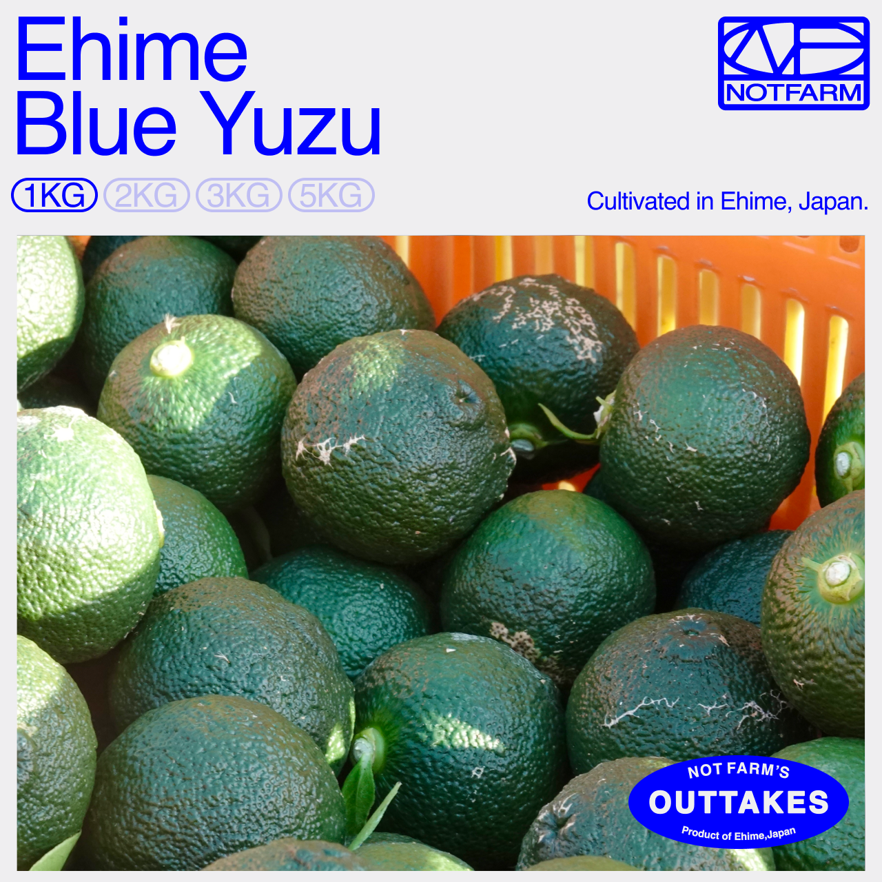ゆず出品 OUTTAKES】訳あり 青ゆず1kg 愛媛県産 青柚子 BLUE YUZU ｜ 果物/香酸
