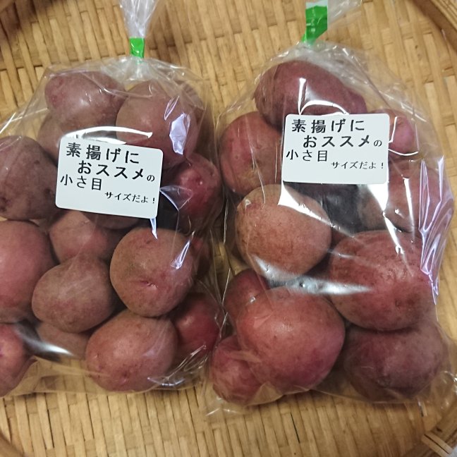 新じゃがだよ！アンデス・レッド～小さ目1kgセット～ ｜ 野菜