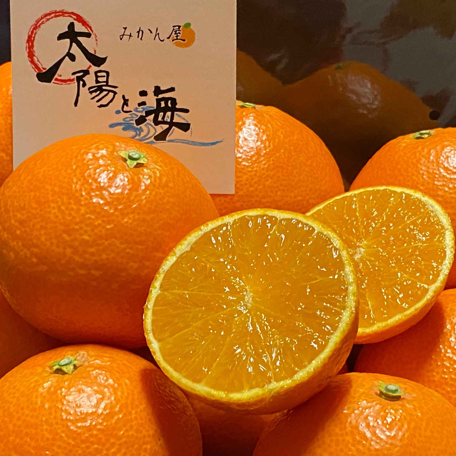 愛媛県限定栽培】太陽と海のまどんな🍊（2.5k入） ｜ 果物/オレンジ