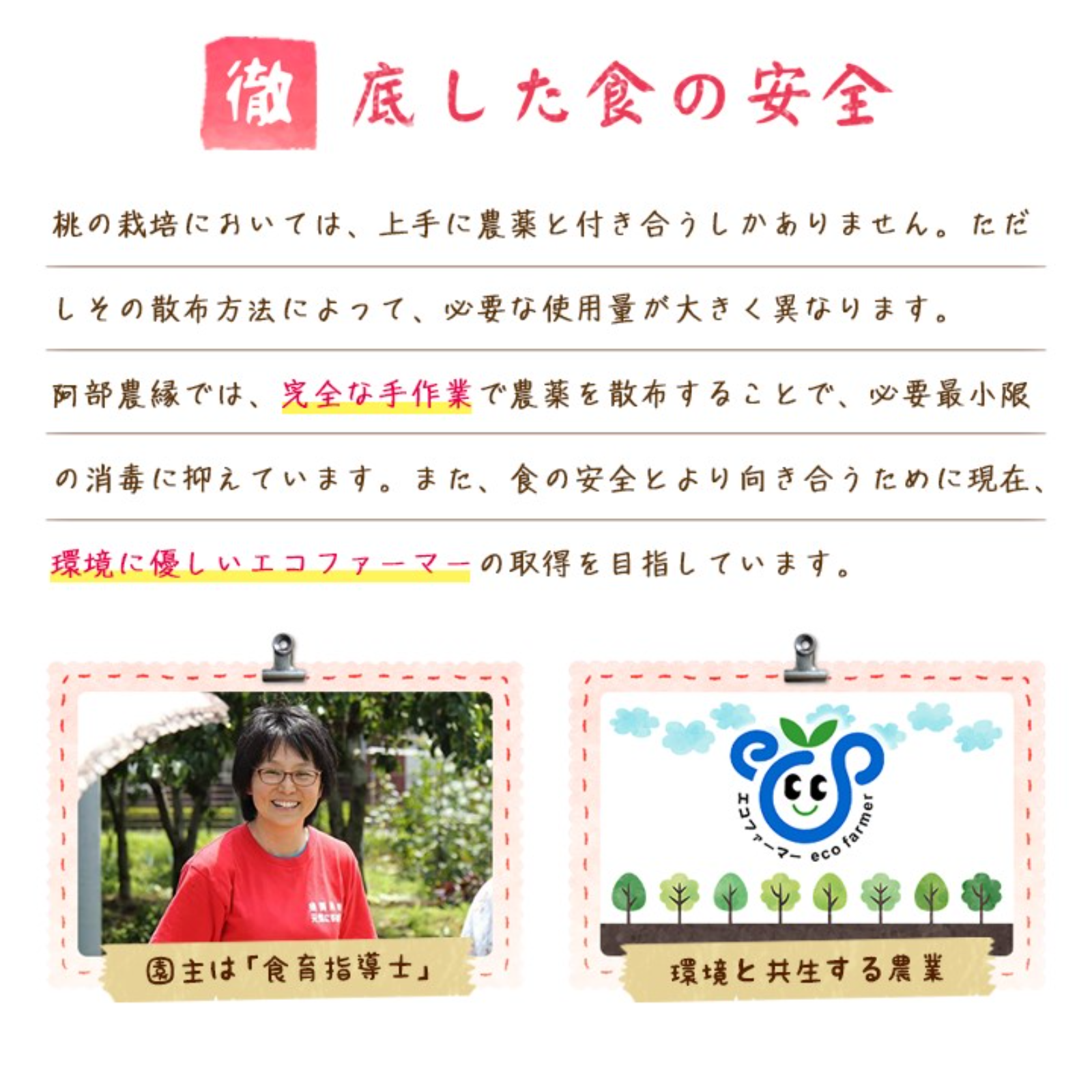 青梅 2kg 品種・大きさ色々の無選別 農薬・化学肥料不使用の自然農法