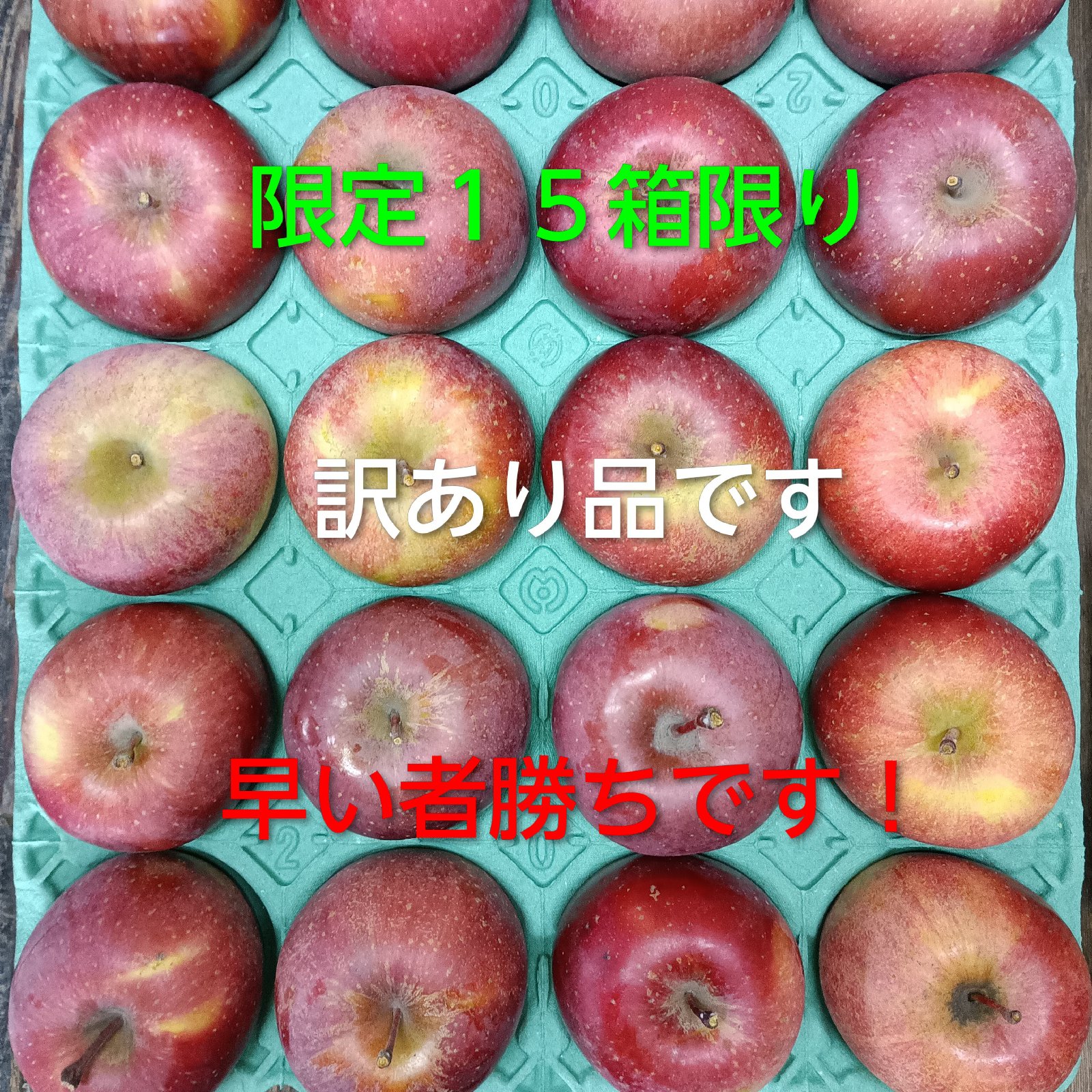 訳あり品】サンふじ10キロお買い得 40〜46玉 ｜ 果物/りんご 産直