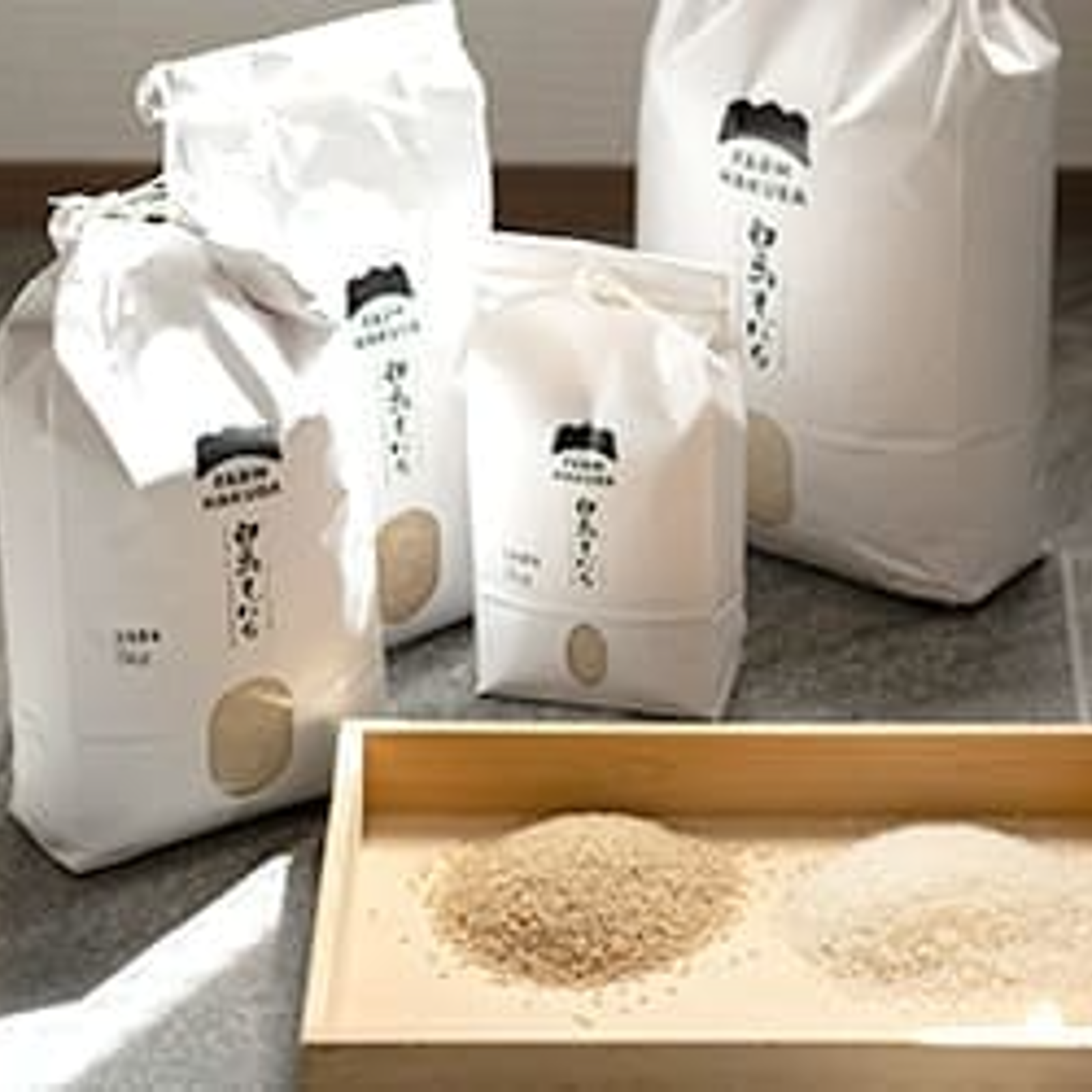 ゆめの10kg 里芋✩.*˚新潟県胎内市砂丘地産