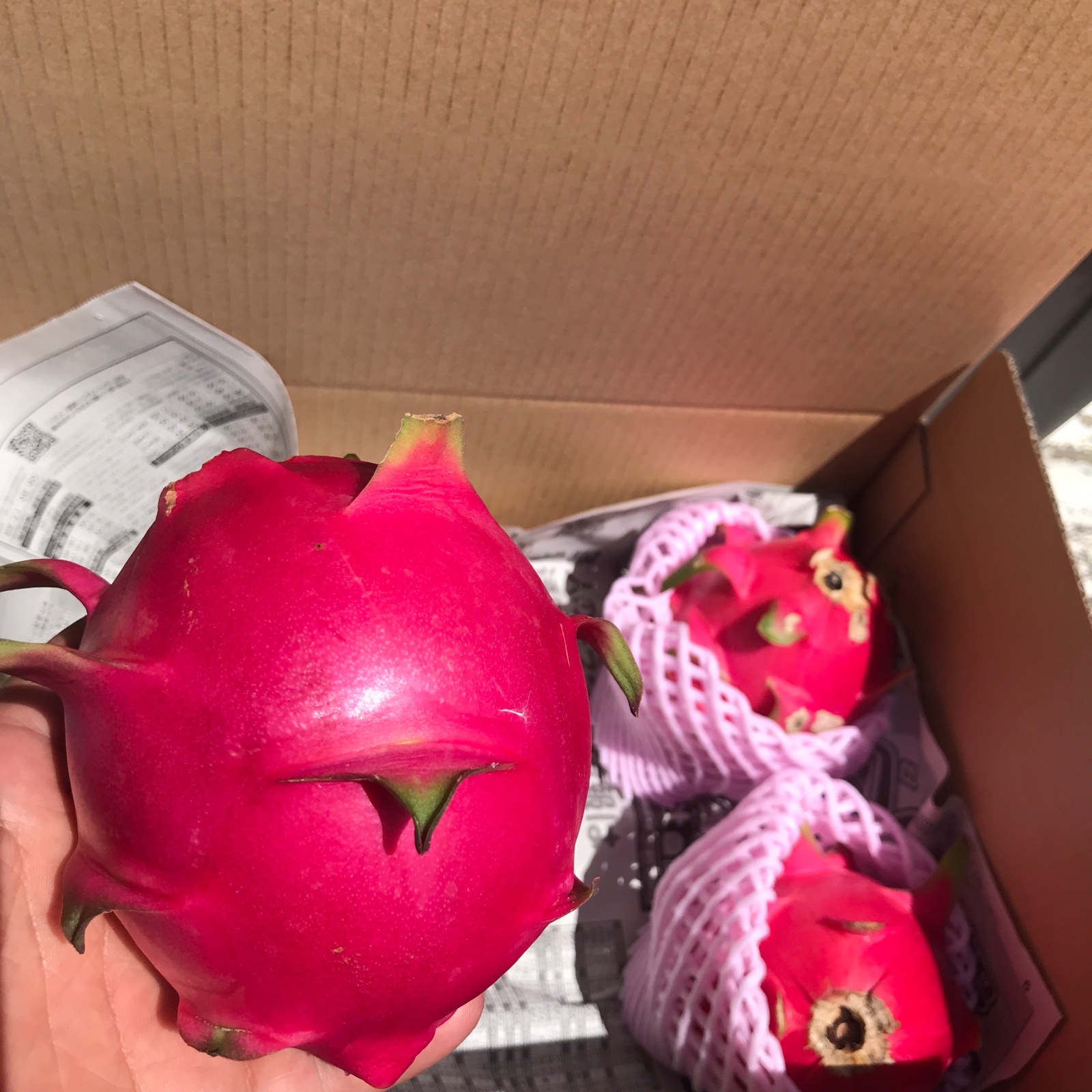 石垣島産『ドラゴンフルーツ』3キロ(赤玉)6〜8個 | 果物/ドラゴン 石垣島産『ドラゴンフルーツ』3キロ(赤玉)6〜8個 | 果物/ドラゴン