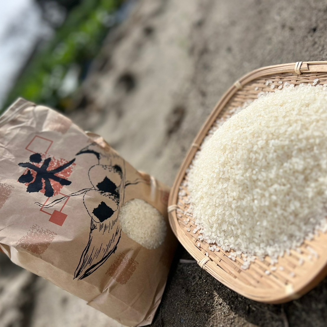 令和6年度米 静岡県浜松市産 【コシヒカリ】 10kg ｜ 米・穀物/米