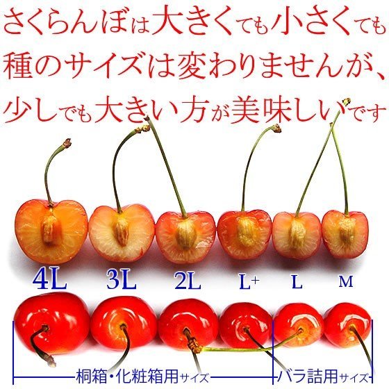c6197af2e16f318b60a5d24ddff825