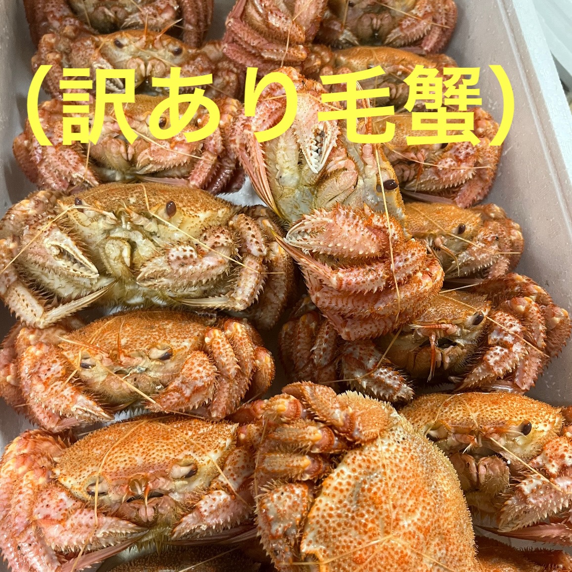 条件付き】 訳あり 毛蟹1kg 規格外品 ｜ 魚介類/カニ 産直アウル 農家