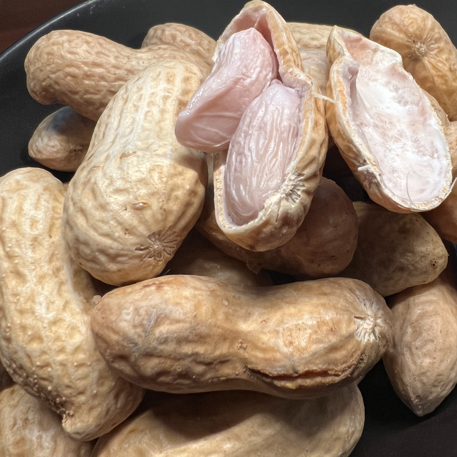 期間限定】採れたて生落花生(1kg) 【ビールのお供に】 | 野菜/豆類