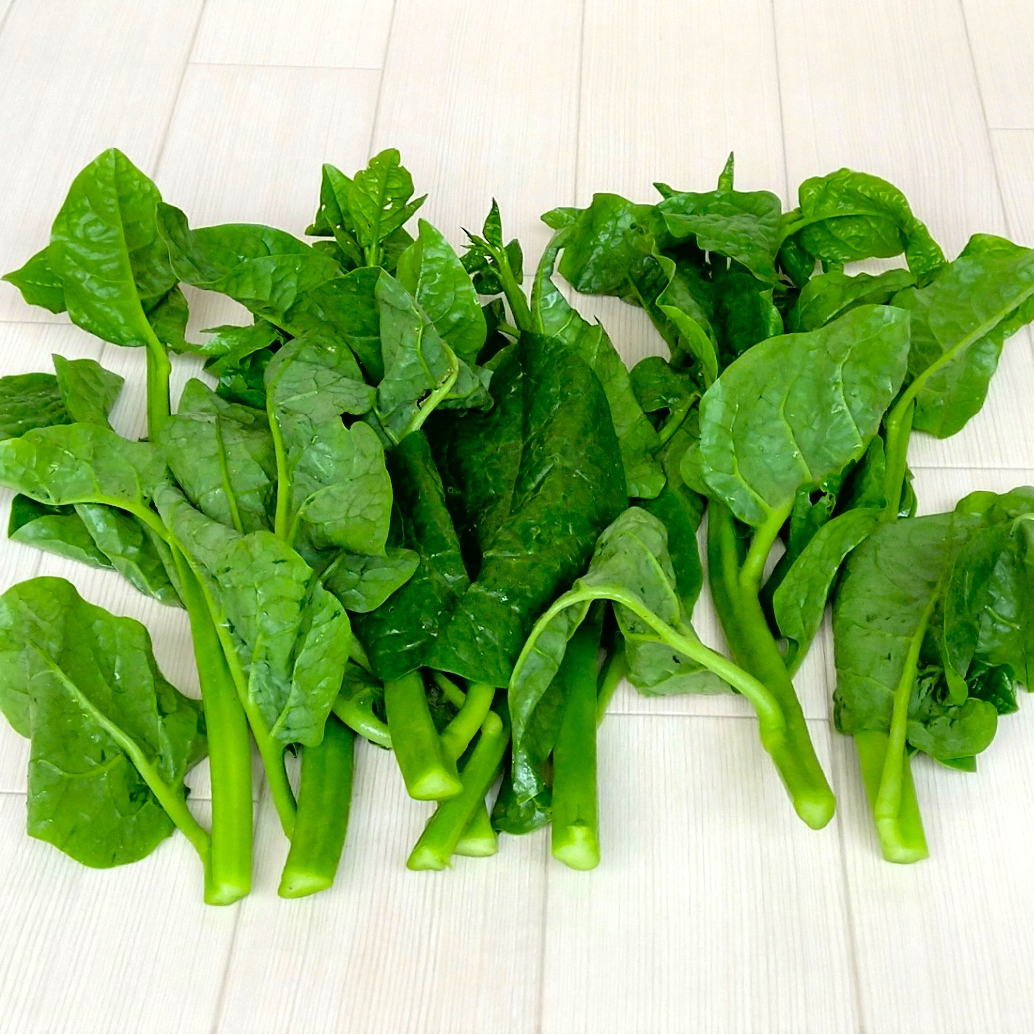 おススメ野菜】ツルムラサキ 農薬不使用（無農薬）栽培ツルムラサキ