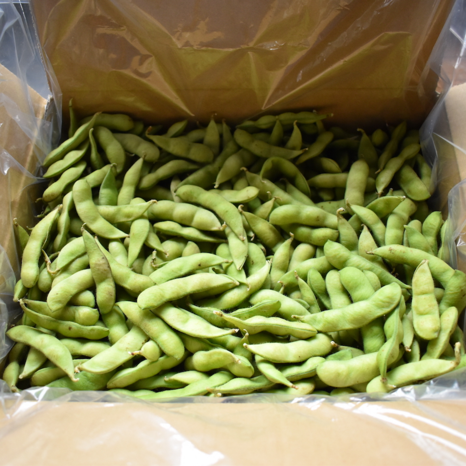 訳あり、茶豆風味の枝豆「湯上がり娘」3kg ｜ 野菜/豆類 産直アウル