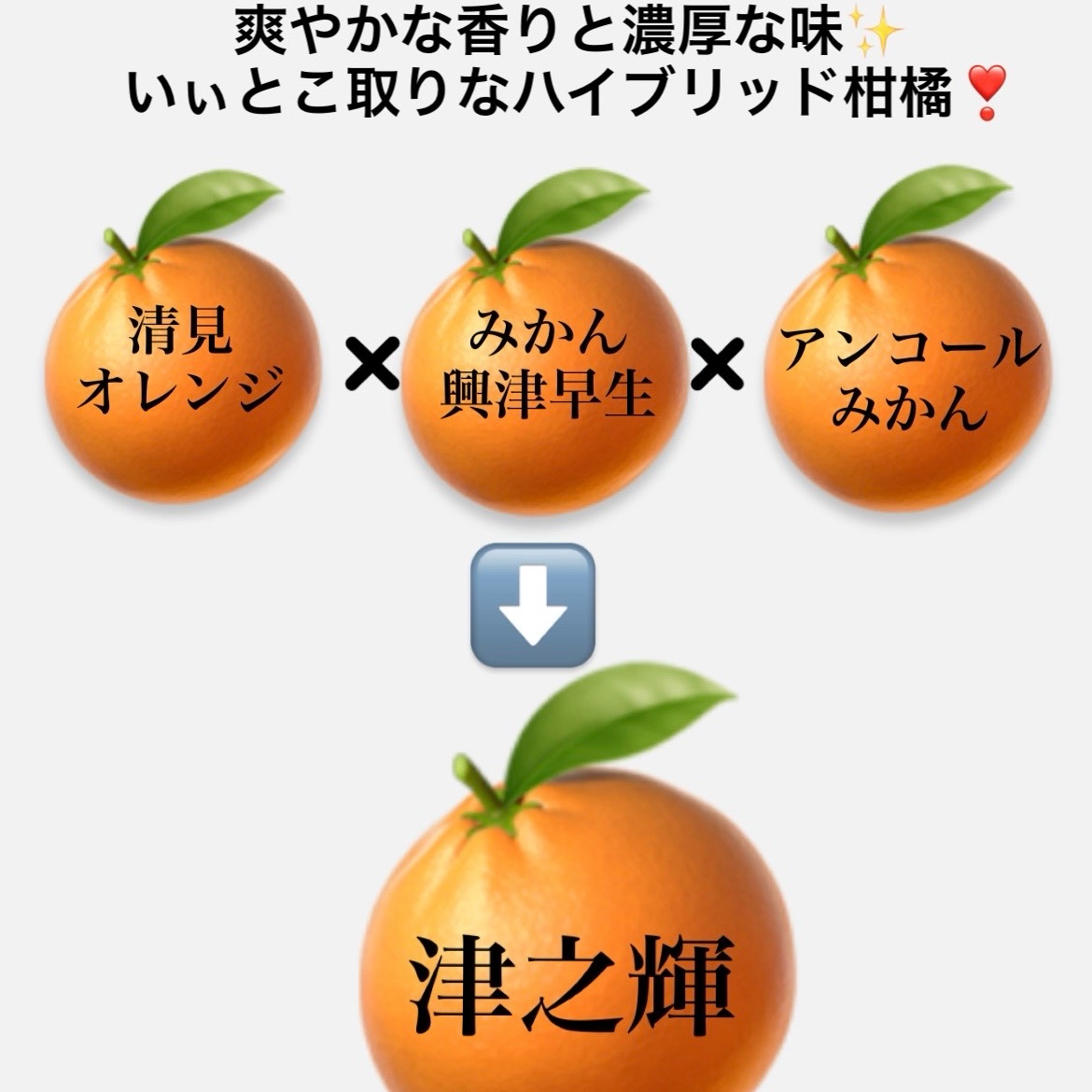 c706847c0acaadd576e6ca9fa716a1