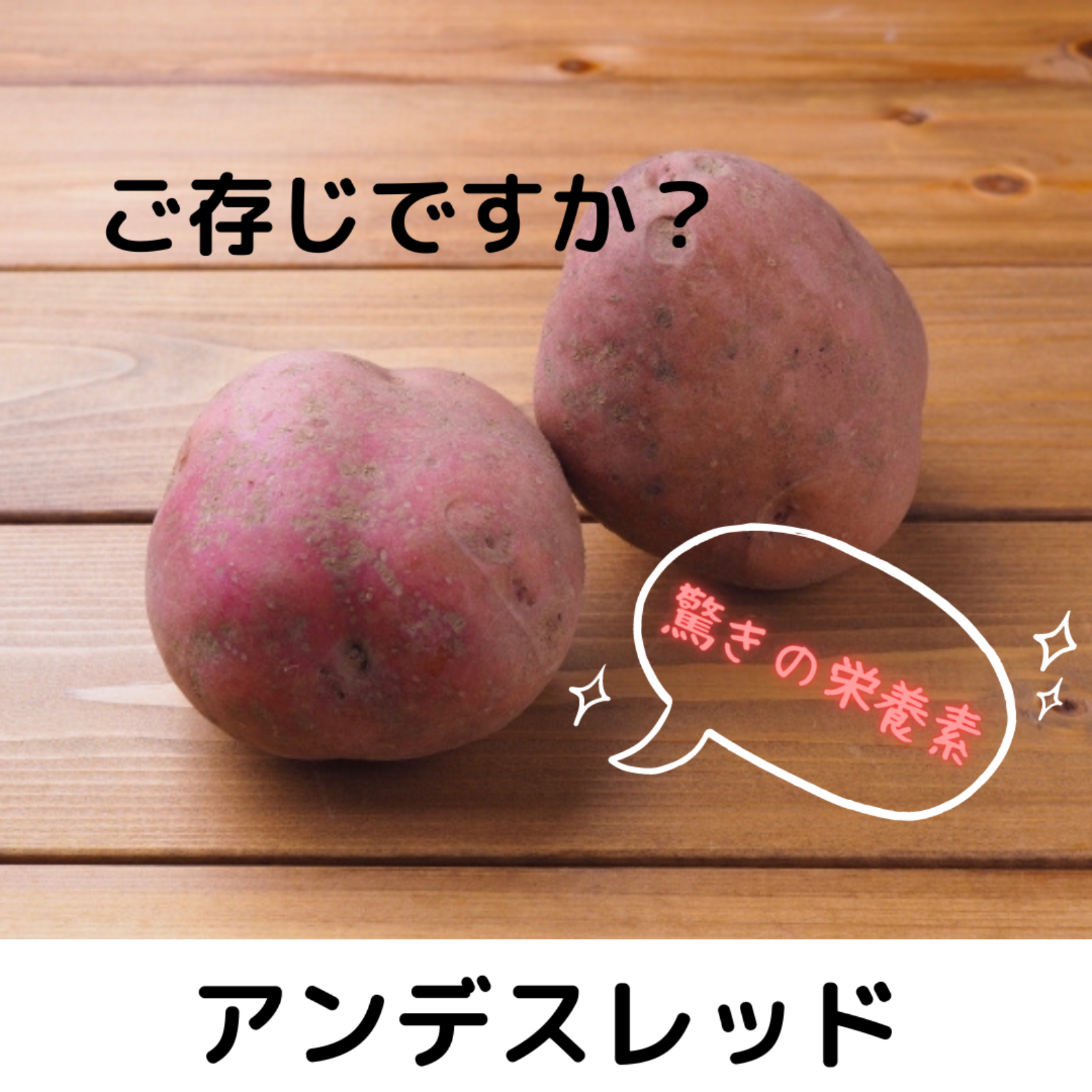 ※1箱限定 約8.5kg アンデスレッド種芋 デジマおまけ付 自然農