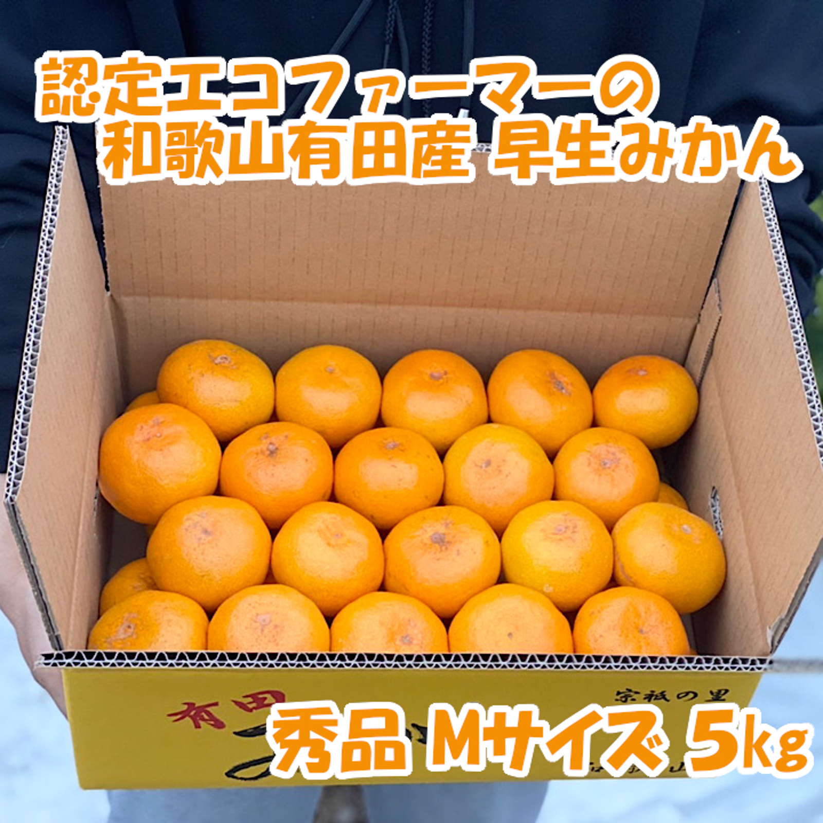 甘～い◎訳あり ハウスみかん 5kg d 通販