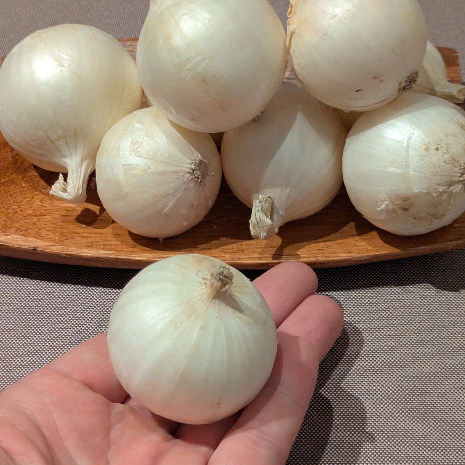 やさしい風の肥料・農薬不使用 自然栽培白玉ねぎ ｜ 野菜/玉ねぎ 産直