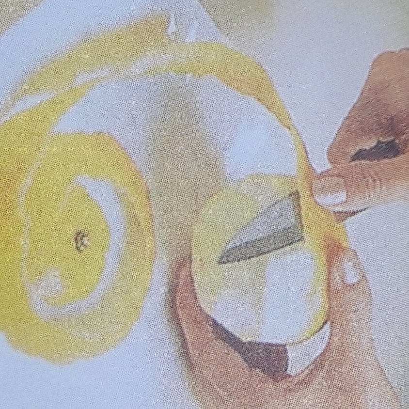 作本柑橘園の日向夏(たねなし)5.0キロ(25～50個) | 果物/オレンジ