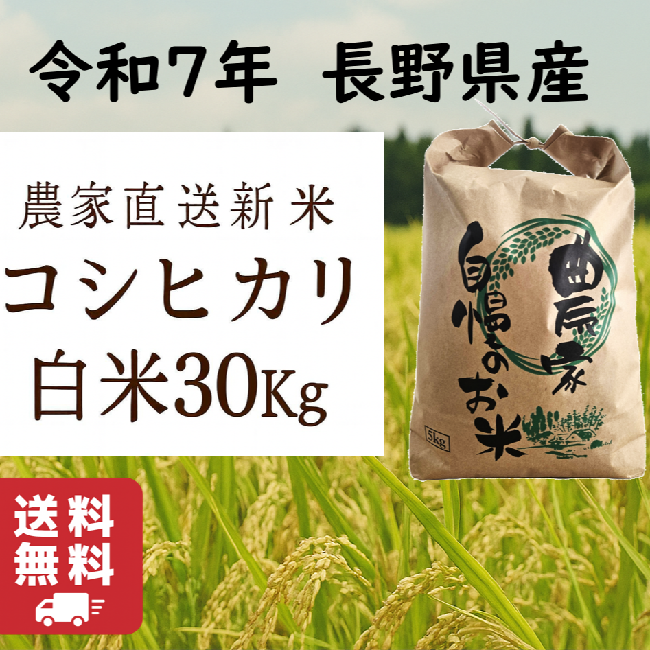 白米】コシヒカリ 30Kg 送料無料 令和7年 長野県産 新米 | 米・穀物/米